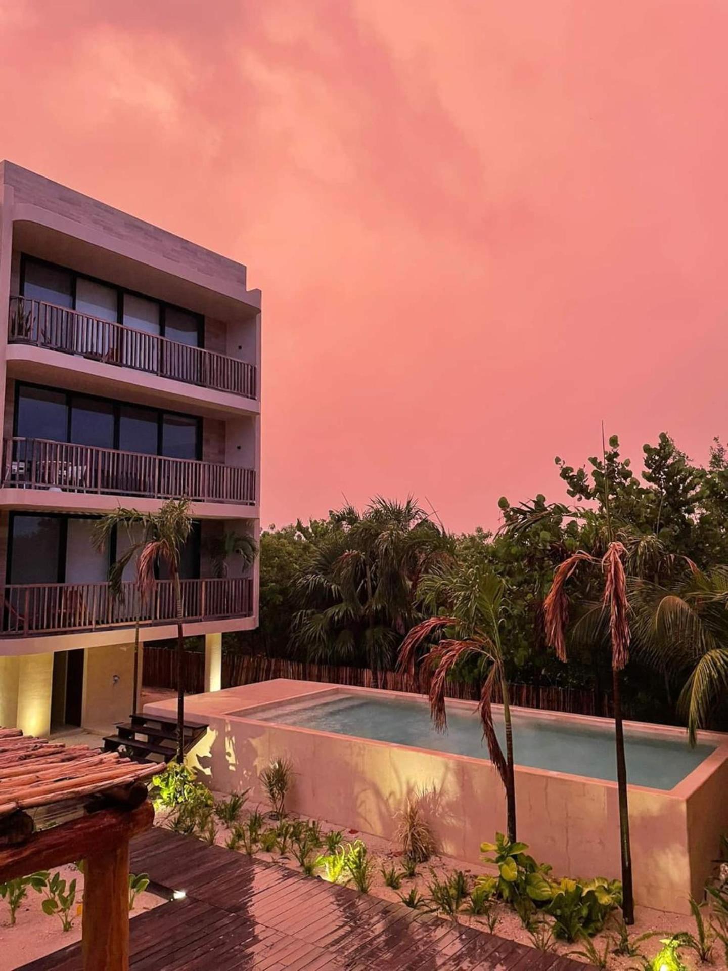 Hotel Ocean View Loft In Punta Cocos - C102 à Holbox Extérieur photo