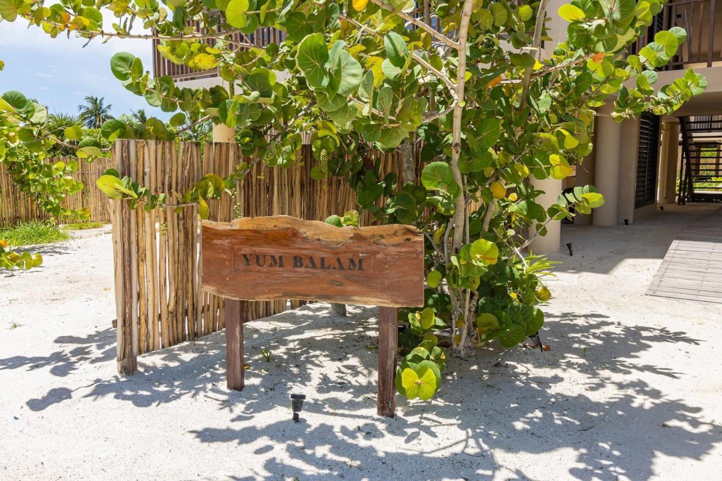 Hotel Ocean View Loft In Punta Cocos - C102 à Holbox Extérieur photo